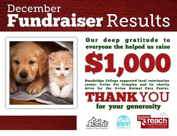 Presents for Paws: Stanbridge College Raises $1,000 for Homeless Animal Care  