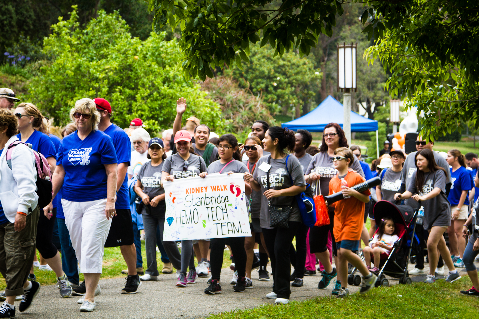 Dialysis Students Raise $370 for National Kidney Foundation OC Kidney Walk  