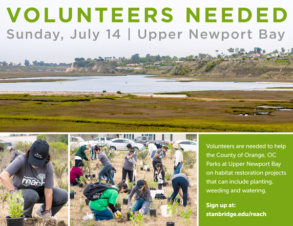 Sunday 7/14 Volunteers Needed for Upper Newport Bay Habitat Restoration – Stanbridge College REACH  