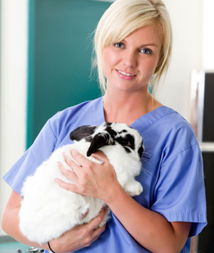 Stanbridge College Launches First Veterinary Technician Degree Program in Orange County  