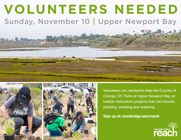 Preserve and Protect: Volunteer with OC Parks on Sunday, November 10th, 2013  