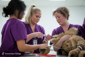 Cornell Professor Demonstrates World’s First High-Fidelity Canine Patient Simulator at Stanbridge College  