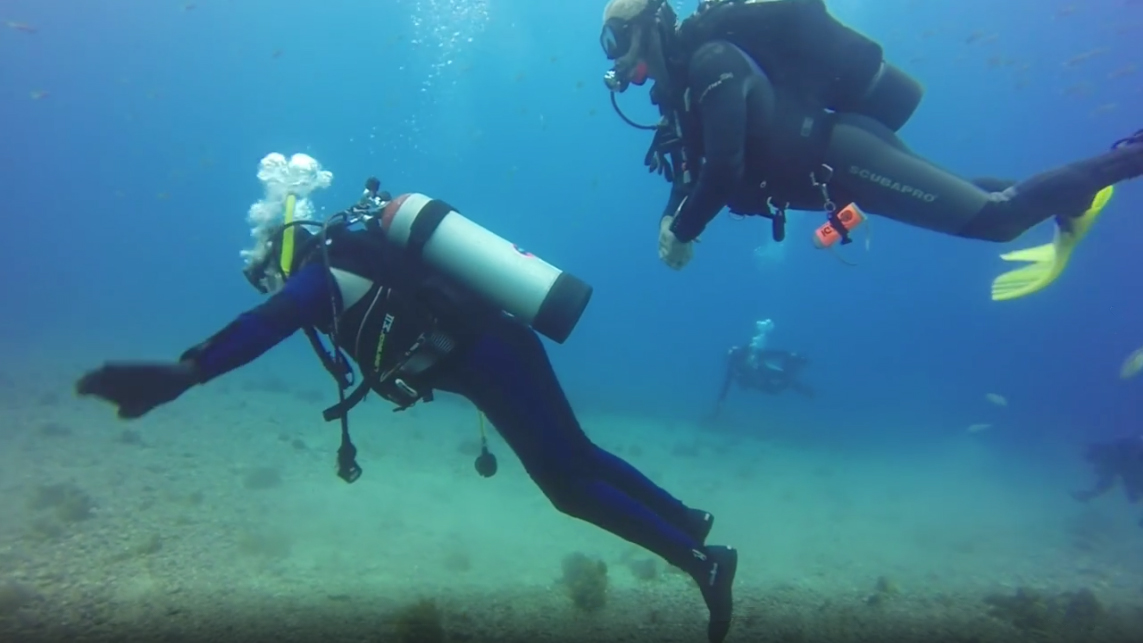 Stanbridge College Occupational Therapy Students Assist Veterans Using Scuba Therapy  