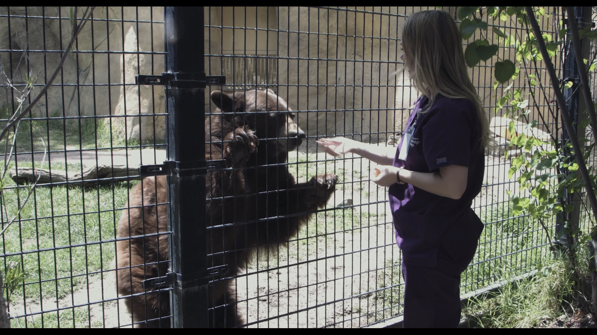 Vet Tech Student Volunteered with the OC Zoo to Develop Better Animal Care  