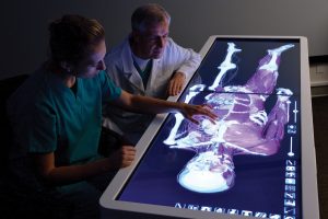 Stanbridge University Increases Virtual Reality Offerings with Addition of World’s First Virtual Dissection Table  