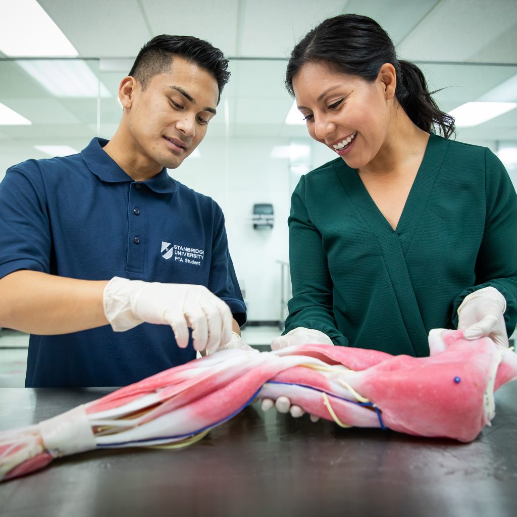 PTA Program Next Step for Kinesiology Graduates Stanbridge University
