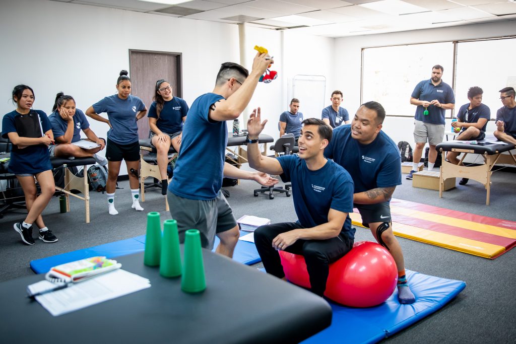 PHYSICAL THERAPIST ASSISTANT: RESEARCHING THE BEST SCHOOLS  