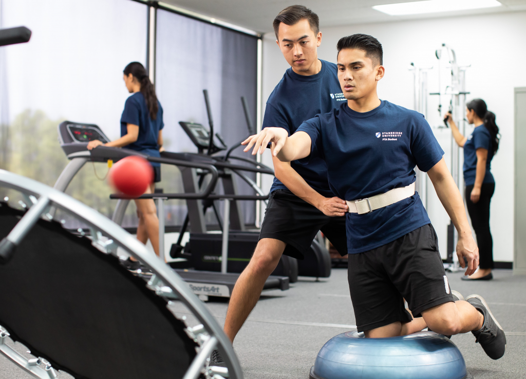 PTs vs PTAs: What's the Difference?  