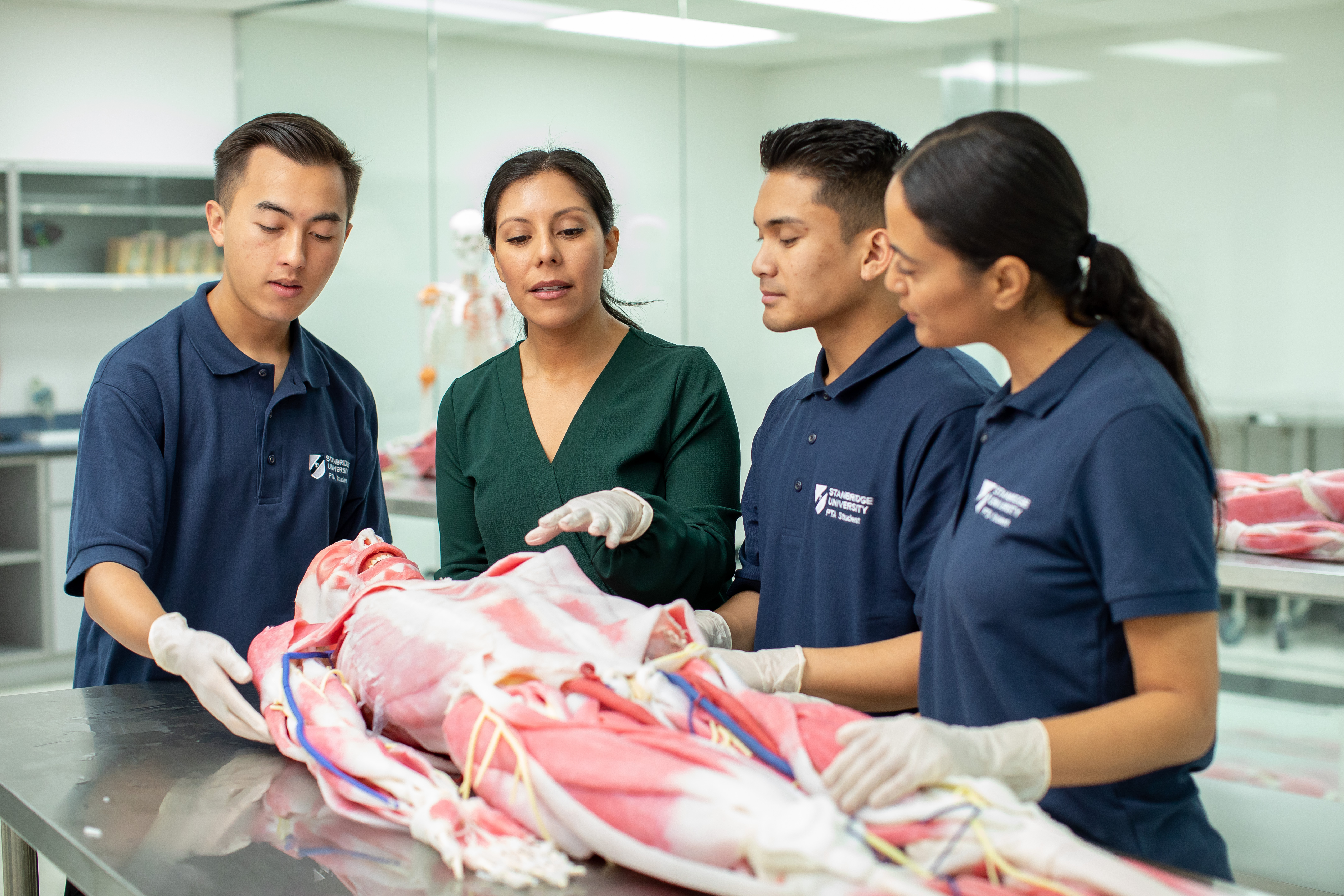 Understanding NPTE Pass Rates: What They Mean and How Stanbridge University Stands Out Understanding NPTE Pass Rates: What They Mean and How Stanbridge University Stands Out
