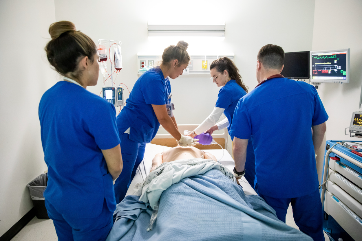What to Expect on Your Journey Through Nursing School What to Expect on Your Journey Through Nursing School