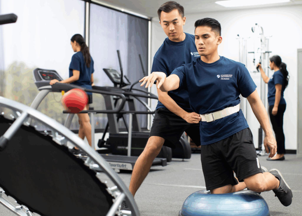 OTA & MSOT vs. PTA: Exploring the Key Differences Between These Careers  