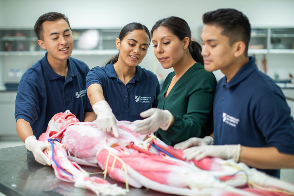 10 Careers You Can Pursue With a Physical Therapist Assistant Degree  