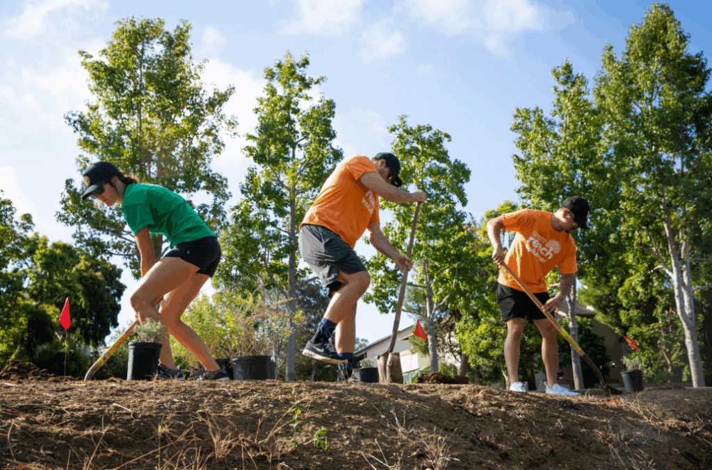 Stanbridge University Plants 10,000 Trees Across Southern California  