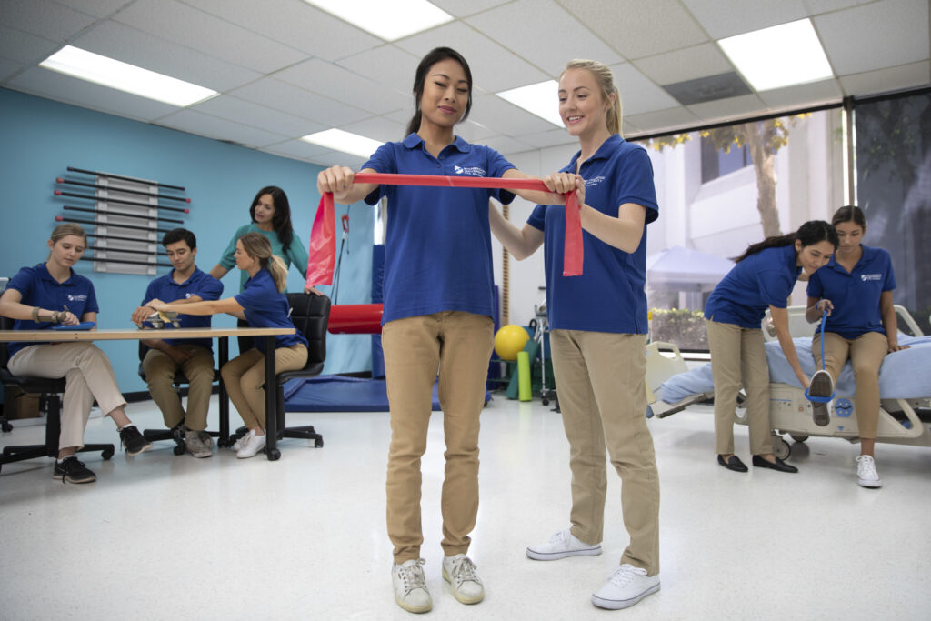 Occupational Therapy Assistant Associate Degree: Requirements, Salary & Career Guide  