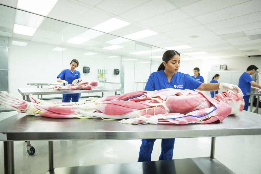 Nursing Schools in California: Programs, Requirements, and What to Expect (2026 Guide)  