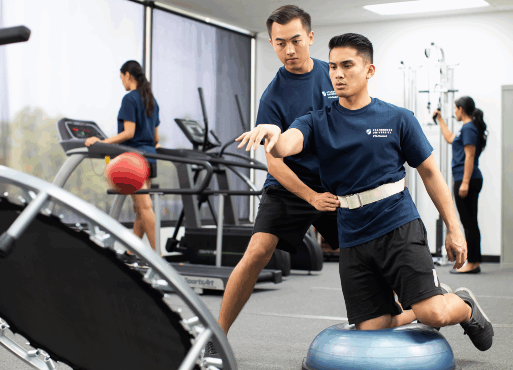 Why Become a Physical Therapist Assistant? Career Guide  