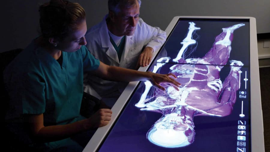 The Anatomage Table and Modern Healthcare Education  