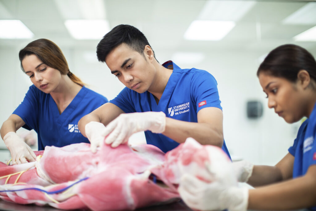 What Skills Do You Need to Succeed in Nursing School?   