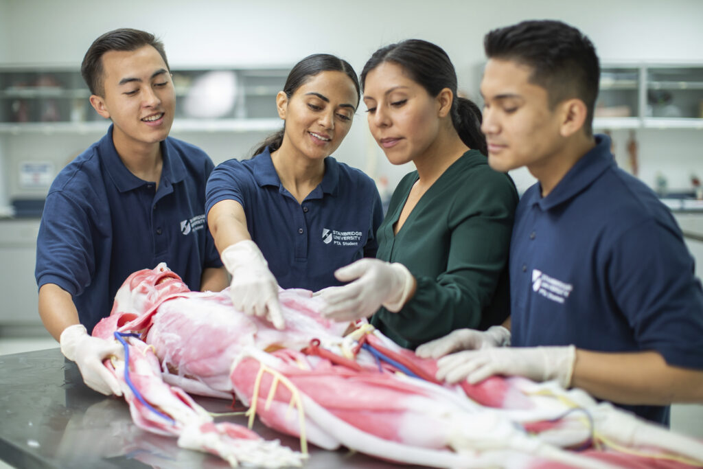 What Types of Patients Do Physical Therapist Assistants Work With?   