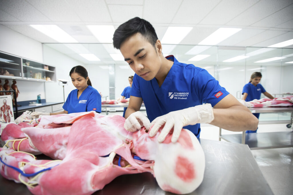 What To Consider When Comparing BSN Programs in Riverside County   