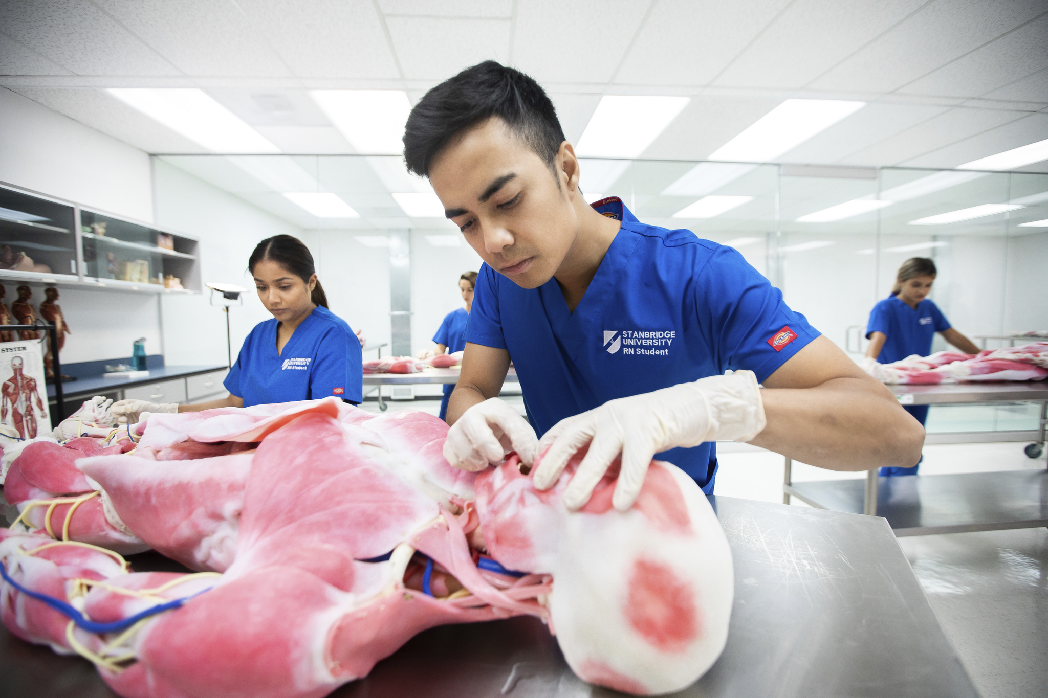 What To Consider When Comparing BSN Programs in Riverside County   