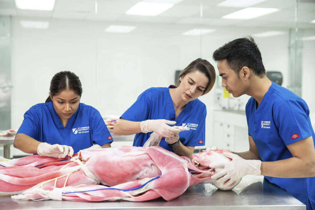 What Degree Do You Need to Become a Registered Nurse?   